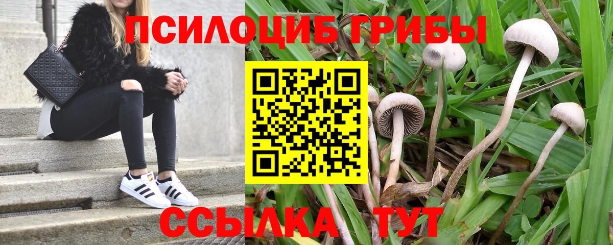 Галлюциногенные грибы мицелий  Вход с VPN  Куйбышев 